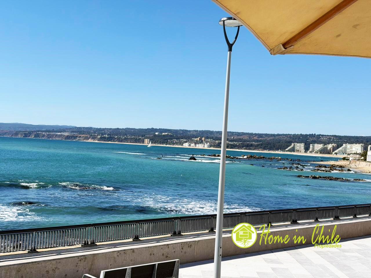 algarrobo1