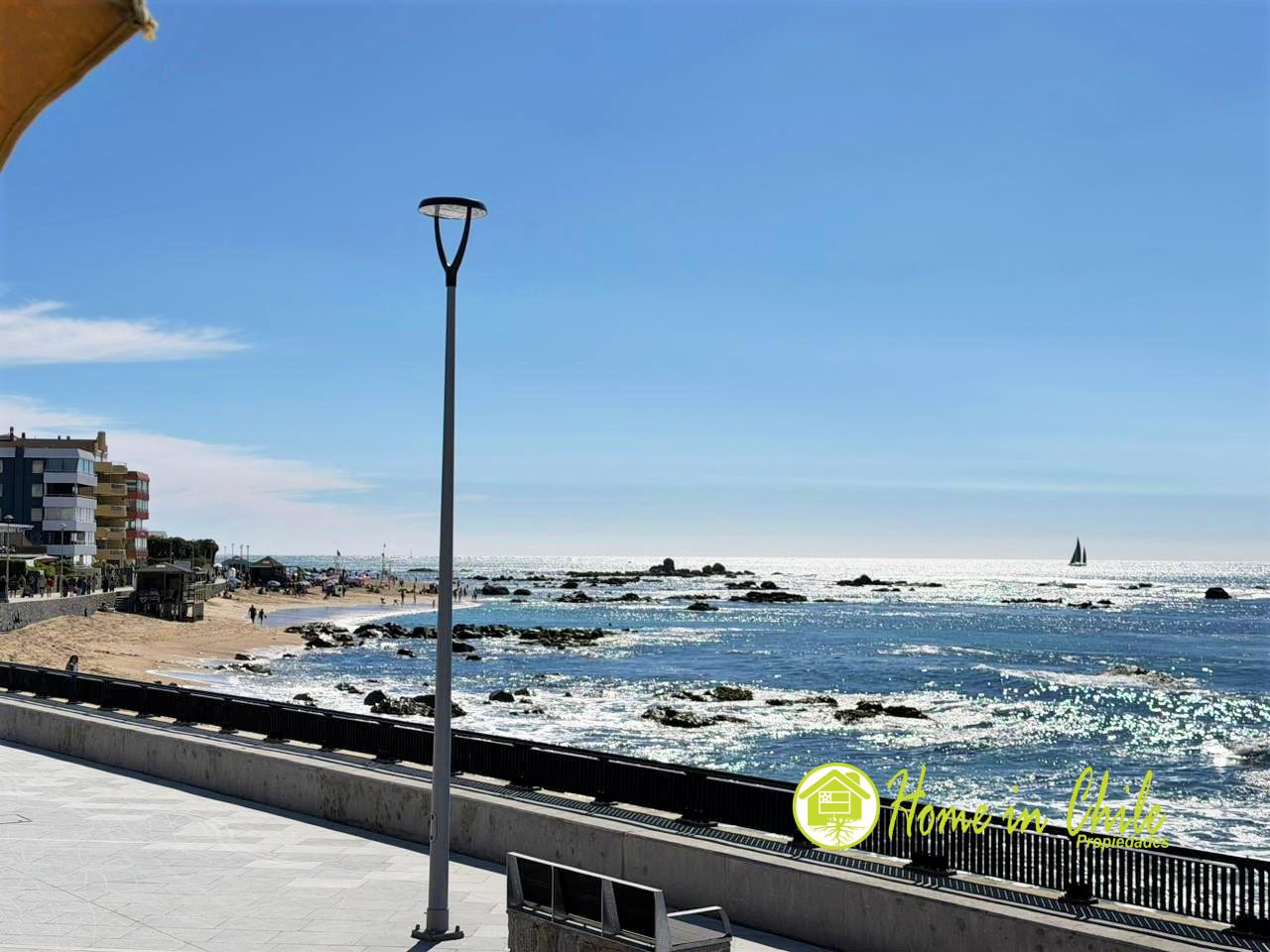 algarrobo3