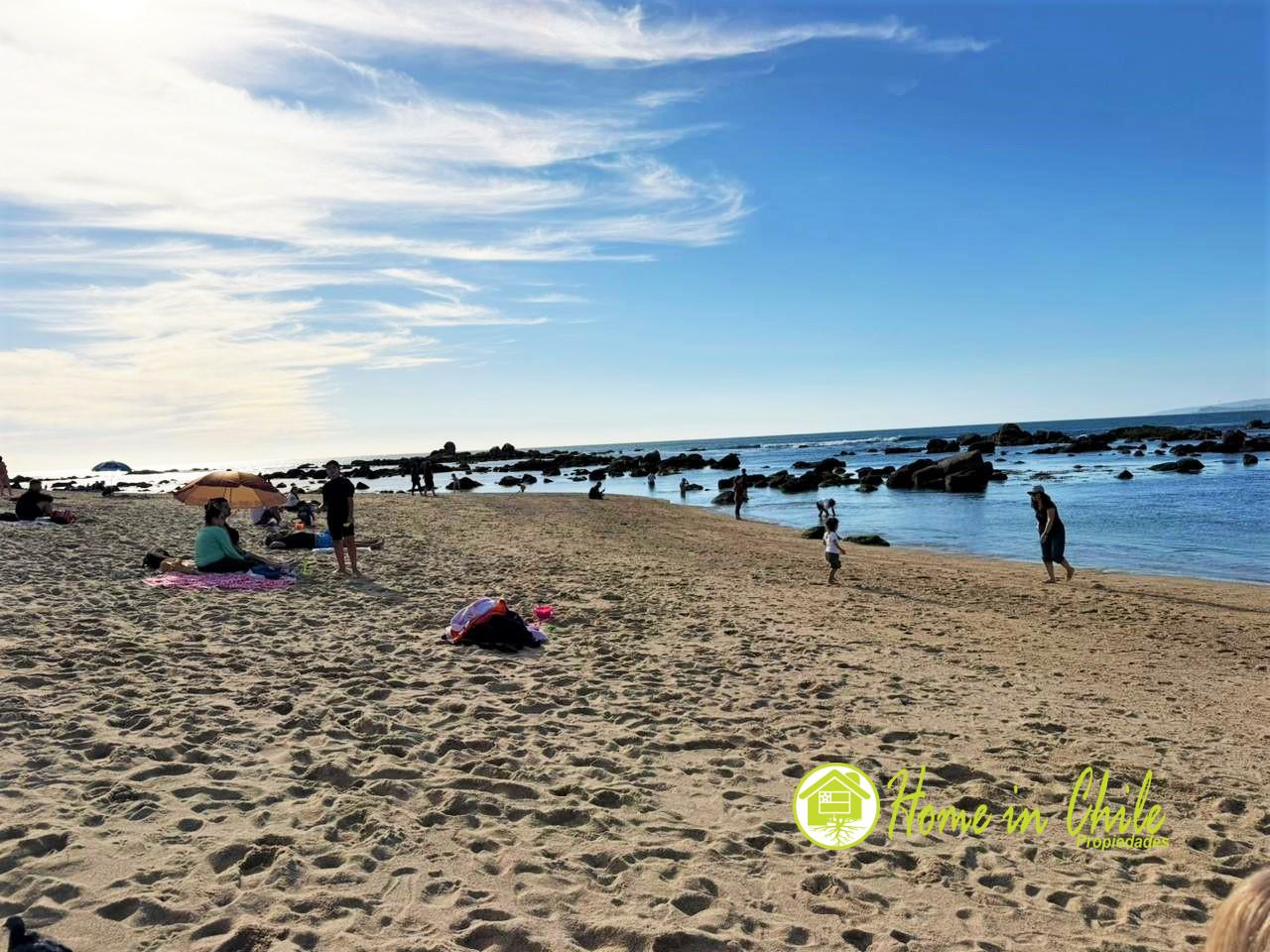 algarrobo4
