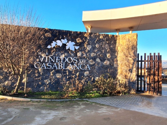 Exclusiva Parcela en Hacienda Viñedos de Casablanca